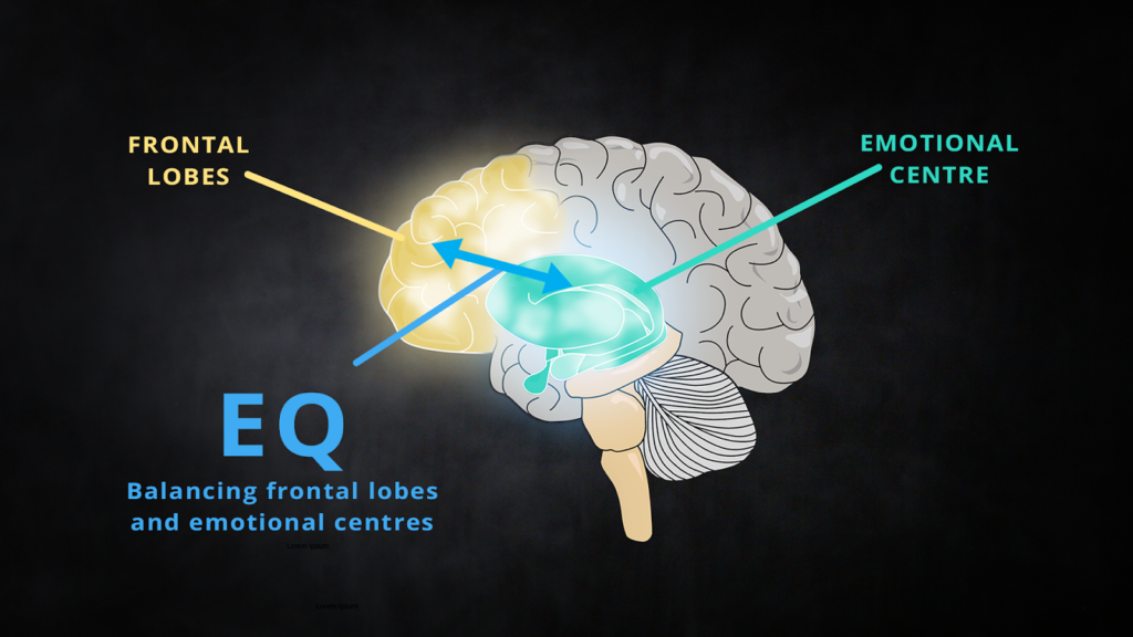 Emotional Centres of the brain