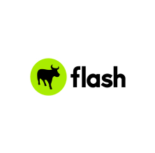 Flash Logo